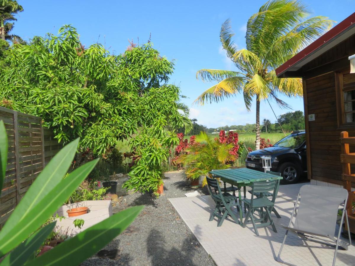 Bungalow Des Paletuviers Morne-a-l'Eau Eksteriør bilde