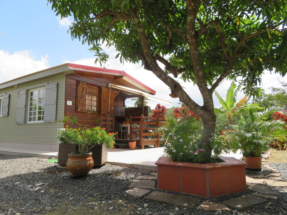 Bungalow Des Paletuviers Morne-a-l'Eau Eksteriør bilde